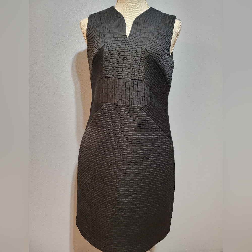 Ivy + Blu size 4 perfect little black v-neck dress with built in slip